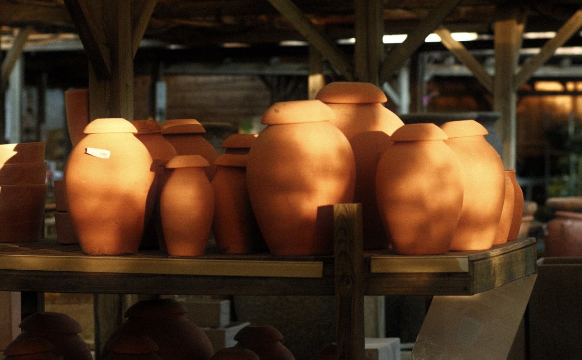 5 Reasons You’ll Love Handmade Mugs